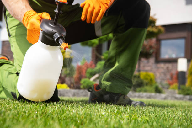 Best Best Pest Control Companies  in Diablo Grande, CA