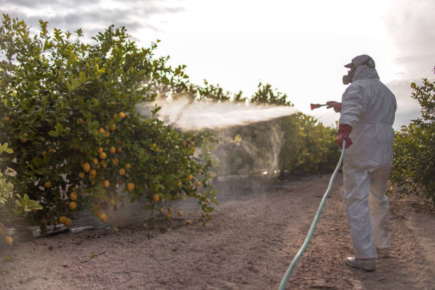 Best Pest Control Near Me  in Diablo Grande, CA